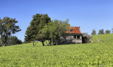 Farmhouse Ruins