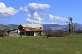 Yarragon Countryside