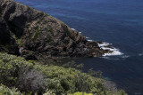 Cape Liptrap