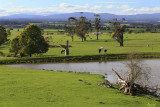 Yarragon Countryside