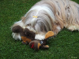I Love my Toy