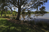 Lake Gutheridge