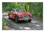 Austin Healy 3000