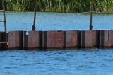 Collingwood Side Launch Basin July, 9 2018 (4 feet higher than Sept 29, 2012)