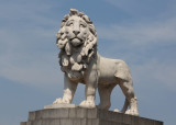 205:365The Lion Survived