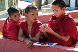 young monks