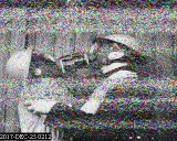 201712250212.jpg