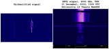 Unk_and_HFDL_comparison_UTwente_8942kHz_31Dec2018_1520z.jpg
