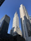 IMG_8677.jpg
