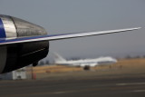 7T0A0907_adj.JPG