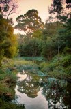 Blackburn Lake Wetlands