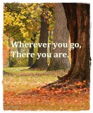 Wherever you go...