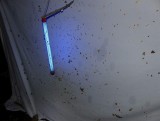 Mothing at Reveler
