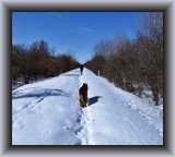 Winter walking