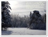 #10: Snow, shawling out of the ground...