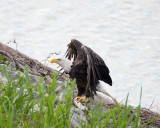 sIMG_0136.jpg