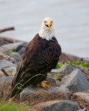 sIMG_0183b.jpg