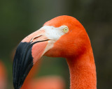 IMG_6802.jpg