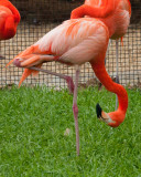 IMG_1101.jpg