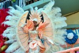 Carnival Fever