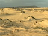 Desert After Rain 