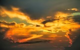 Natures Art by Fuji