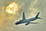 ANA's B-787-8, JA804A, Inside Clouds
