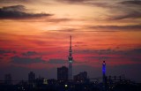 Sky Tree Dusk