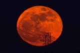 January Moon Raising On Tokyo