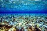 Entrance To Paradise At High Tide