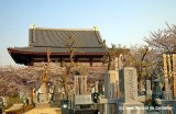 The Tokugawas Graveyard