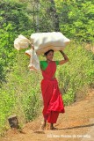 Loaded, With Portugals National Flag