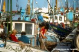 Tavira Fishermen In Agfa: What A surprise
