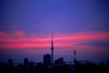 My Skyline: The Skytree