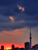 Skytree SS