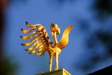 The Golden Phoenix