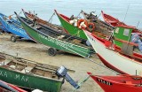 The Boats of Viana