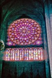 Notre Dame Glass