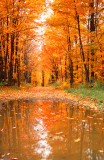 New Havens Backroad