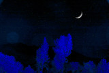 Sierra Starlight Glow