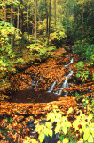 Smokey Mountains