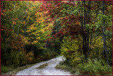 Autumn Backroads