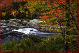 Creekside Autumn Splendor