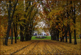 Autumn Driveway Estate