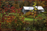 110 Hwy Homestead