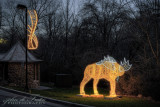 2017 - Festival of Lights, Dufferin Island - Niagara Falls, Ontario - Canada