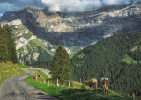 2018 - Guichet Du Terroir, Route du Col de la Croix - Switzerland (iPhoneX)