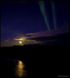 moonrise arora.jpg