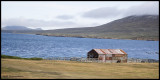 Pebble Island sheep barn.jpg