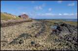 Weddells old boat house.jpg